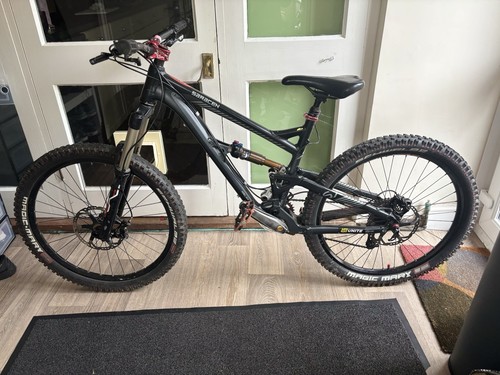 Saracen ariel 16x custom - ariel,
