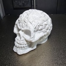 Sugar skull day of the dead