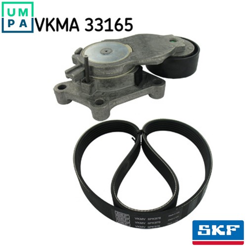 Vribbed belt set vkma 33165 - belt,