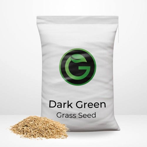 Dark green grass seed - dark,
