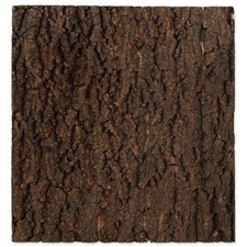 Repti Planet Cork Background -
