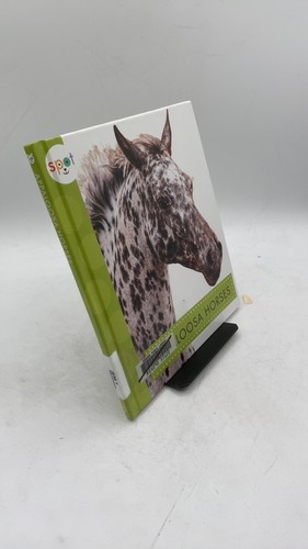 Appaloosa horses alissa - appaloosa,