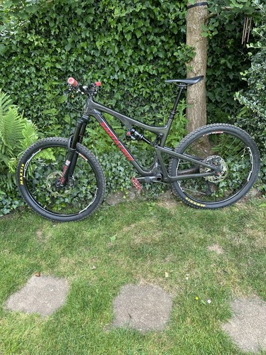 Santa cruz bronson - cruz, large
