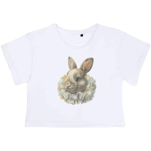 Ornate renaissance rabbit - 'ornate, rabbit'