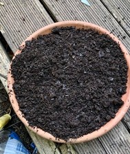 MULTI Purpose Compost 5L