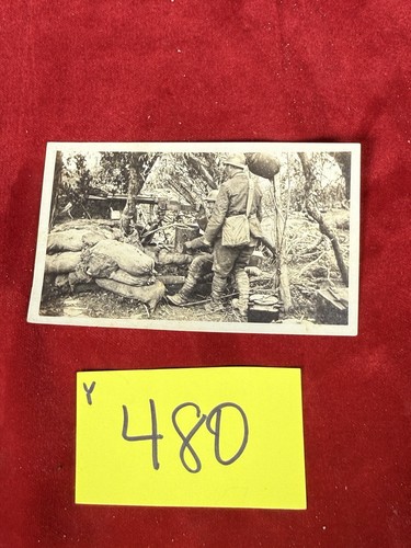 Ww1 original photo - photo, of