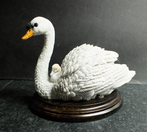 Country artists swan cygnet - country,