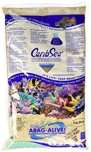 Caribsea live fiji - fiji, pink