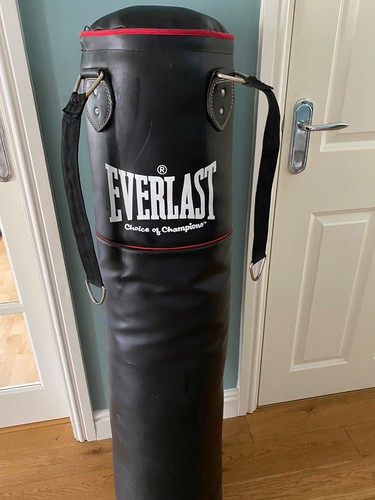 Everlast punch bag - everlast,