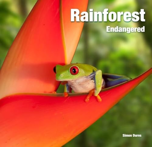 Rainforest endangered - rainforest:,