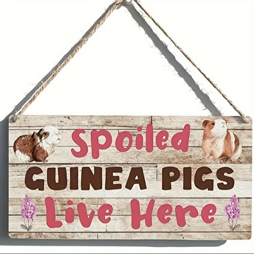 Spoiled guinea pigs live - guinea,
