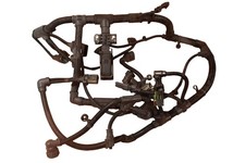 Fits DAF LF Engine Wiring