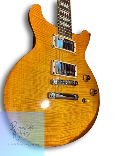 Gibson les paul standard - les,