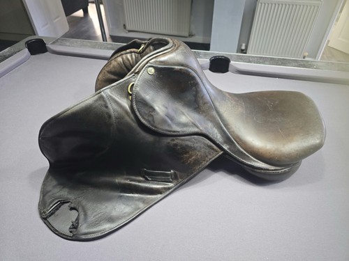 Horse saddle brown leather - horse,