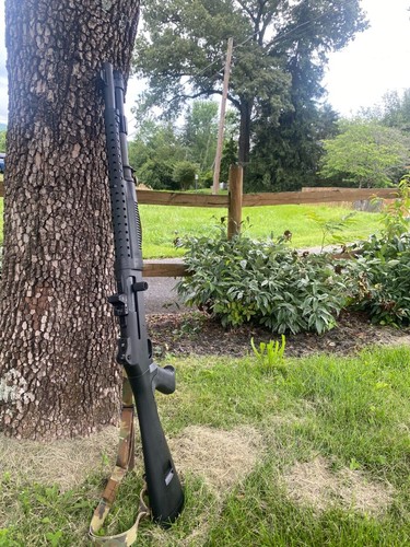Benelli custom heat - custom, shield