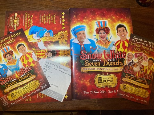 Theatre royal newcastle panto - theatre,