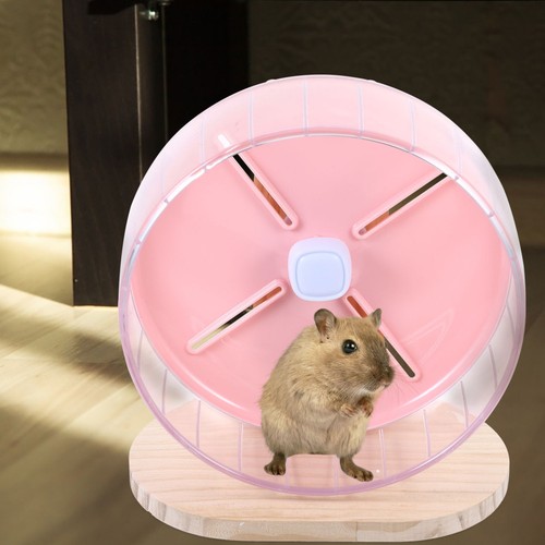 Hamster running wheel - running,
