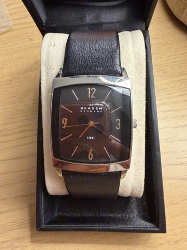 Skagen 691lslb men rectangle - men's,
