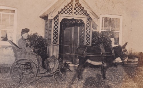 Edwardian photo postcard lady - edwardian,