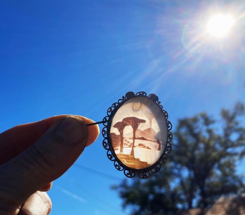 Beautiful old shell cameo pin - beautiful,