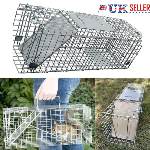 Squirrel rat large cage - squirrel,