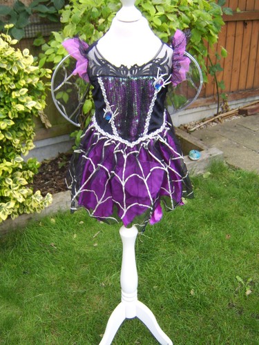 Halloween spooky witch spider - halloween,
