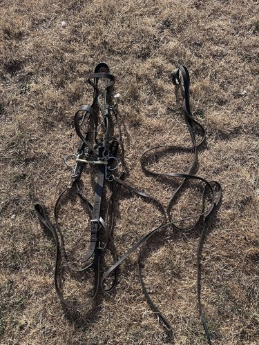 Polo bridle - rj, brown