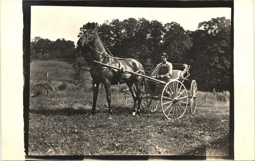 Horse drawn carriage - horse-drawn,