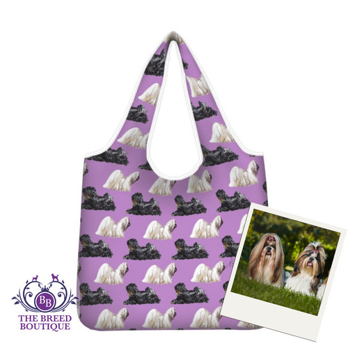 Final clearance shih tzu - clearance.,