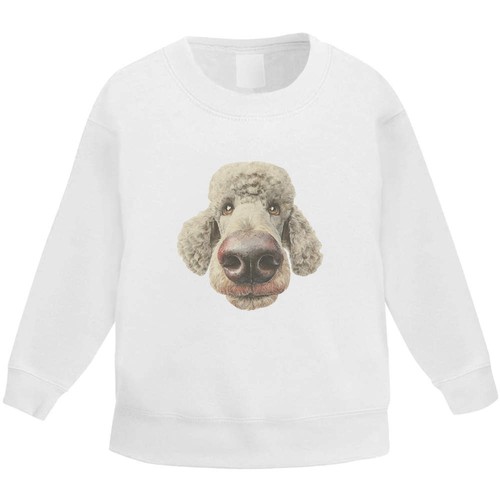 Funny poodle dog - 'funny, portrait'