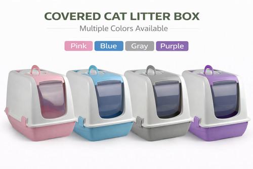 Large closed cat - closed, box