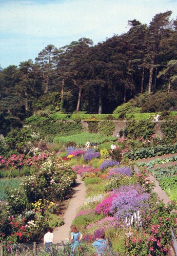 Scotland postcard inverewe - postcard,