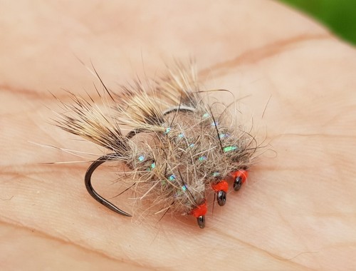 Hares ears fly with - x, holo