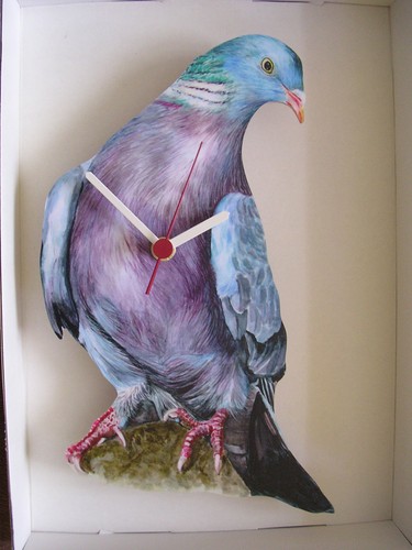 Pigeon wall clock new - wall, clock.