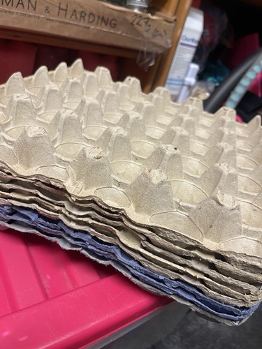 Cardboard egg trays holds - trays,