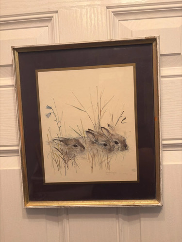 Vintage framed rabbit animal - framed,