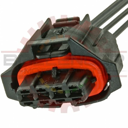 Way sealed plug connector - sealed,