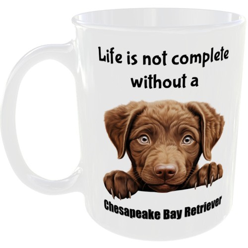 Chesapeake bay retriever - retriever, mug