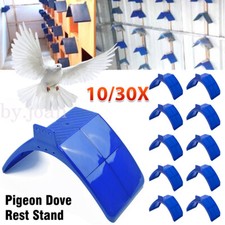 30x birds dove - birds, pigeon