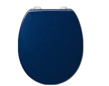 Armitage Shanks Blue toilet