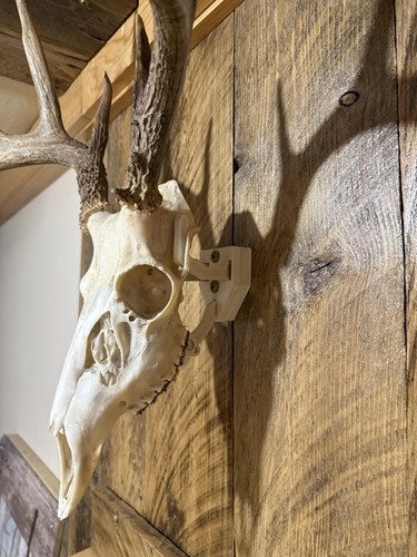 Top rack european - top, skull