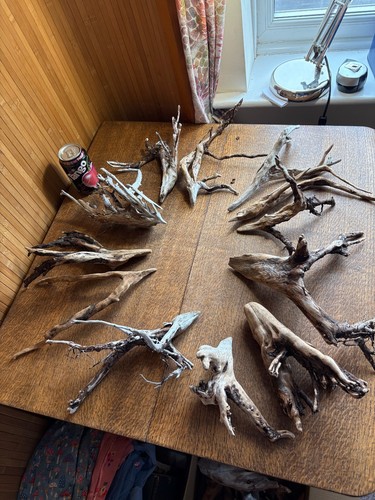 Driftwood x12 small - x12,