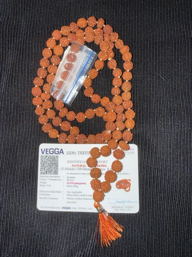 Rudraksha mala rosary necklace - rudraksha,
