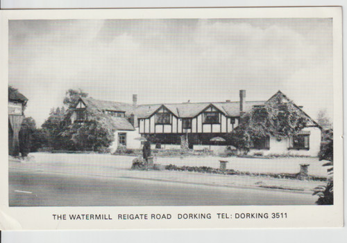 Dorking surrey the - surrey,