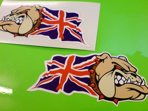 British bulldog union jack - british,