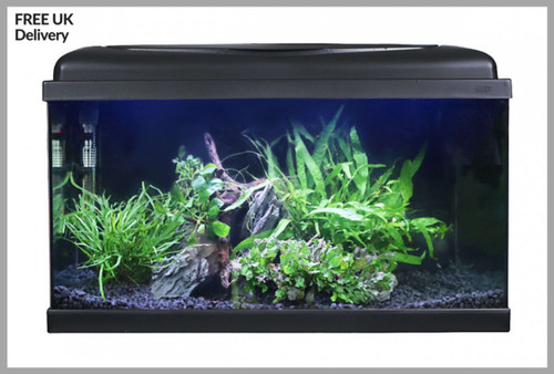 Swell 60cm aquarium starter - swell,