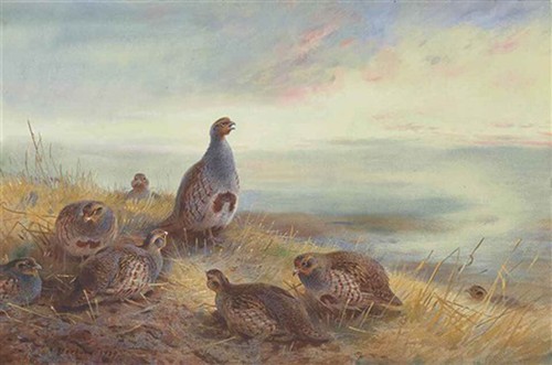 Archibald thorburn print - archibald,