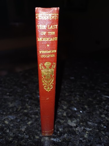 Antique leather book the - antique, last