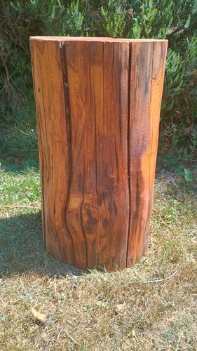 Tree stump seat log table