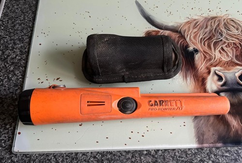 Garrett pro pointer - , at